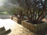 decks-e-varandas (26)